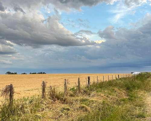 60 Hectáreas Agrícolas Sobre Ripio, Gualeguaychú.