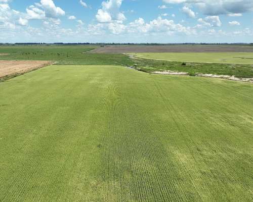 1380 Has. Campo Mixto S/ Ruta 7 en San Andres de Giles