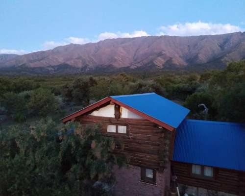 Campo con Almendros y Nogales