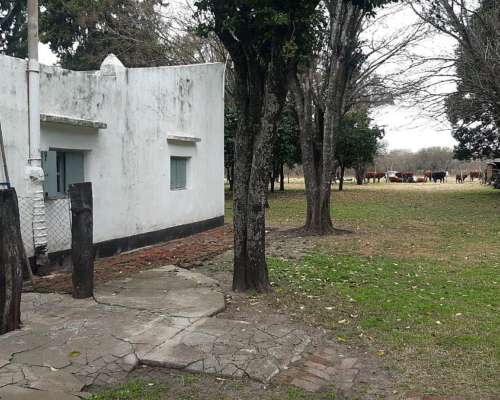 20,5 Ha Campo. con Casco. Buen Estado. Precio Inmejorable