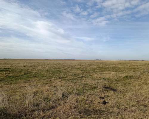 1000 HA, Ganadero, Dolores