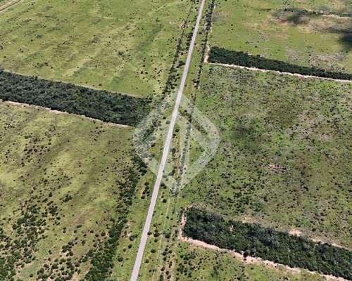 En Venta 6600 Hectáreas Mixtas en la Estrella - Salta