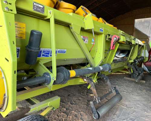 Maicero Allochis de 12 a 52