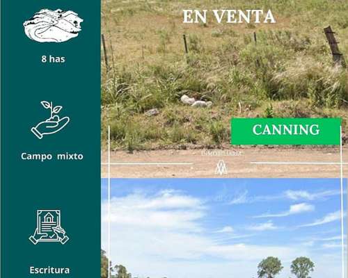Campo en Canning 8 Has