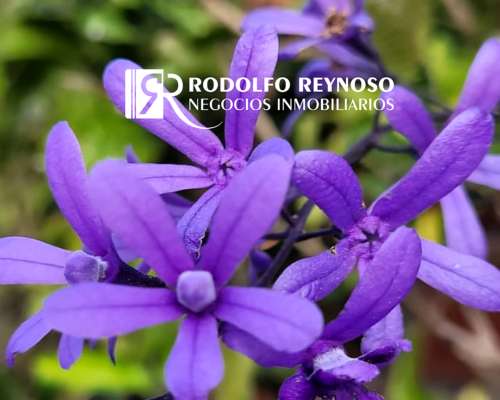 1.5 HA. en Villa Elisa, Entre Ríos