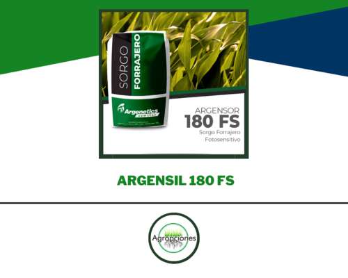 Semilla de Sorgo Fotosensitivo Argenfor 180 FS