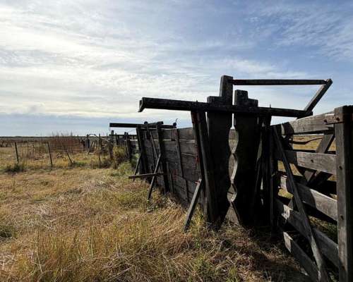 Campo en Venta Colonia Belgrano 287 Has Ganaderas