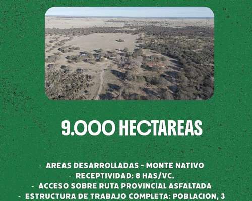 Tradicional Estancia
