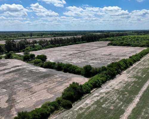 Ingeniero Forres, Robles, Santiago del Estero - 451 Ha