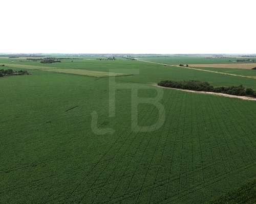 32 Has Agrícolas Lozada, Cordoba