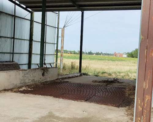 Alquiler - Planta de Silos y Acopio