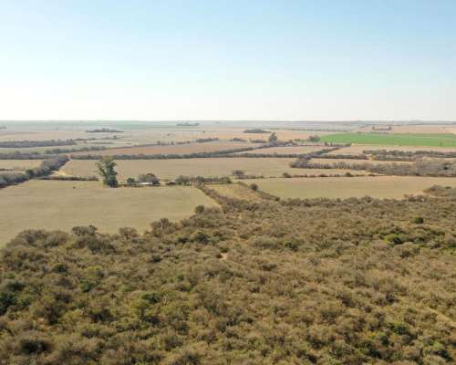 Las Bajadas, Calamuchita, Córdoba - 72 Ha