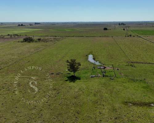Venta Campo Mixto. 64 HA. la Criolla, Santa FE.