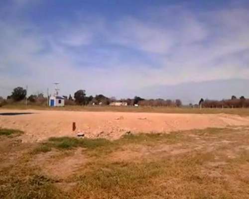 Venta de Tosca Zona Oeste