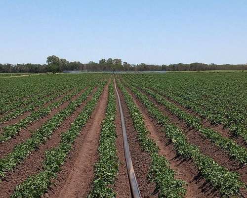 2 Motores de Riego con Cabezal y ALA