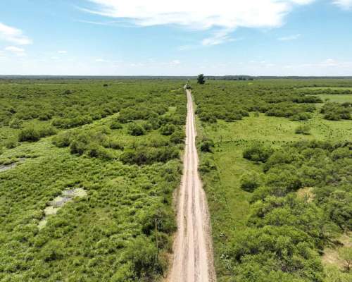 Pcia. de Corrientes - Sauce 1076 Ha