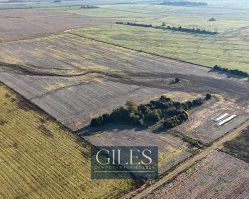 30 Hectáreas Agrícola Baradero Portela
