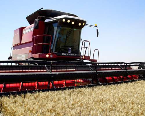 Nueva V-1550 - Nuevo Motor