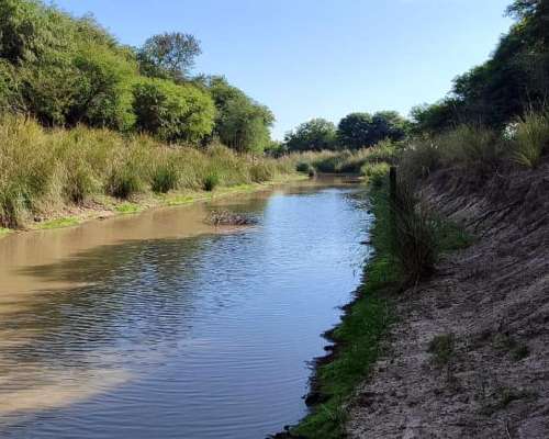 La Sarita, General Obligado, Santa FE - 11.209 Ha