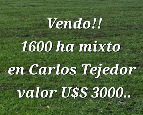 Carlos Tejedor Provincia de Buenos Aires