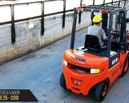 Autoelevador Michigan ME25 - 30
