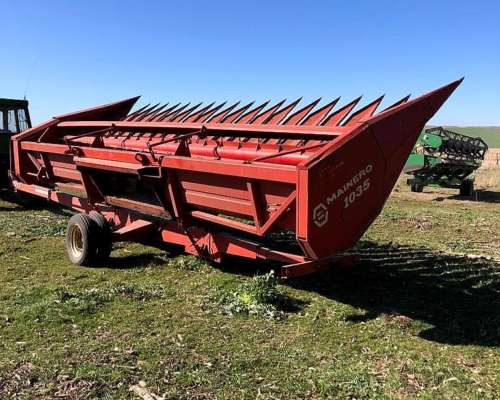 Girasolero Mainero 1035 10 a 70