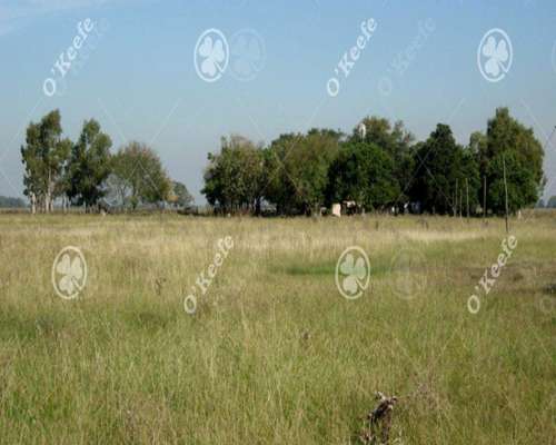 Campo en Venta de 84 Hectareas, la Plata, Ganadero.