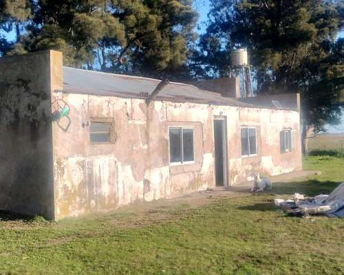 302 Has Ayacucho Pcia BS AS