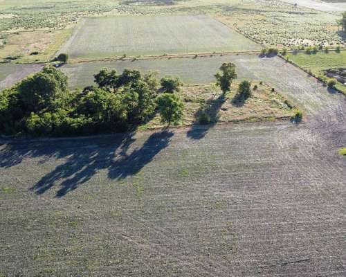 20 Ha Agricolas en Roque Pérez (BS AS)