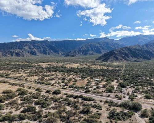 Pcia. de Tucuman - Tolombon 320 Ha