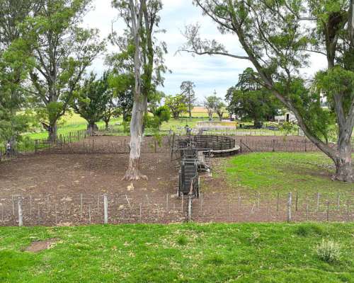 Pcia. de Santa FE - Wheelwright 511 Has