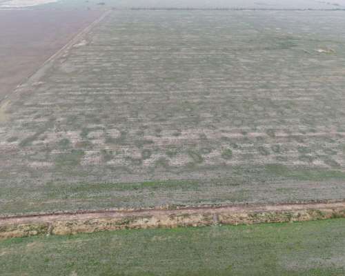 Venta 100 Has Agricolas en Dpto San Martin.