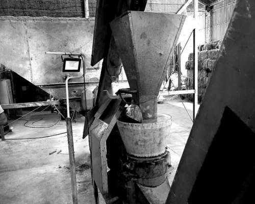 Peletizadora Alfalfa + Molienda