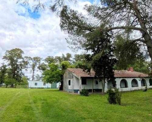 Campo de 177 Hectáreas Sobre Ruta N°5 – Suipacha (bs. As.)