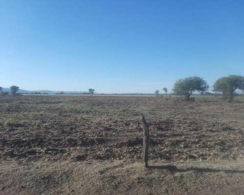 Papagayos - 1034 Ha - San Luis