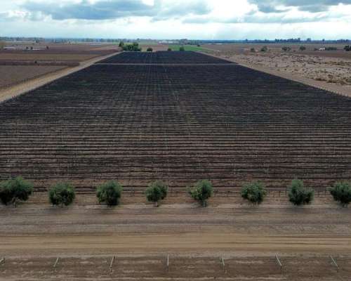 Finca 30ha Excelente Estado los Álamos Fray Luis Beltrán