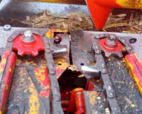 Maicero Mainero 2000, año 2008 de 11 a 52 cm