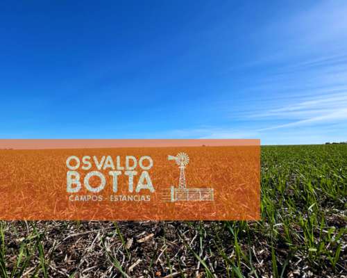 Campo Mixto en Venta 1740has San Jose de Feliciano, ER