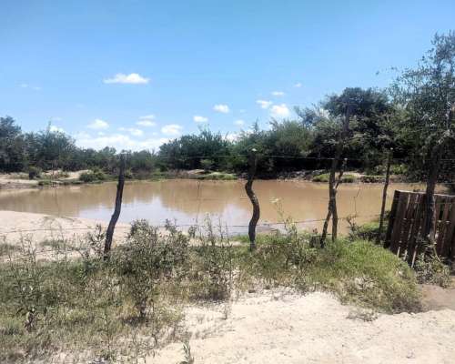 Venta de Campo en San Luis, 56 HA, con LUZ y Agua.