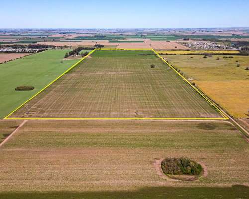 90 Ha Agrícolas Sobre Asfalto. Pavón, Constitución, SF