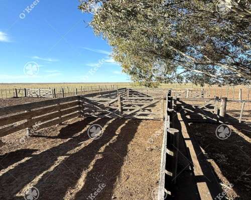 Campo en Venta 10000 Has en Patagones. Mixto