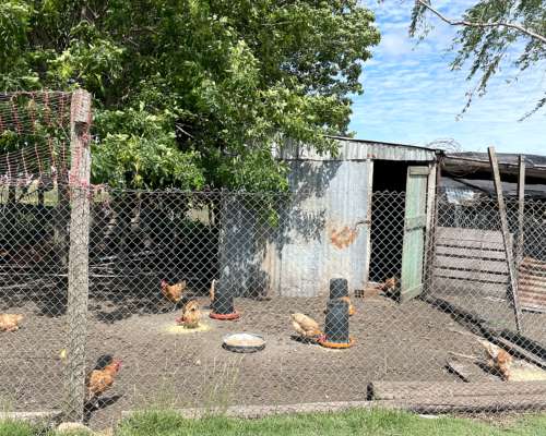 Chacra 8 Hectáreas Concepción del Uruguay