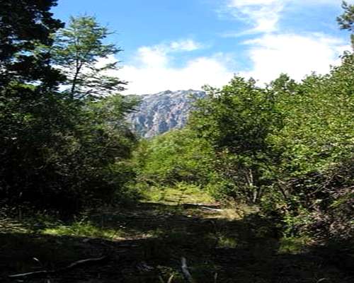 Venta Campo en el Hoyo Zona Arrollo Pedregoso 892 Hectareas