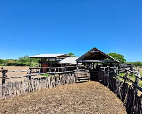 Er0345 4000 HA. Mixto Felciano Entre Rios