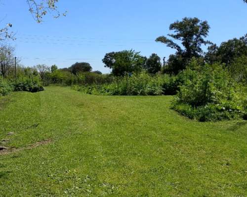 Vendo Lotes de 37,50 por 95 M, Precio por Lote, Marcos PAZ
