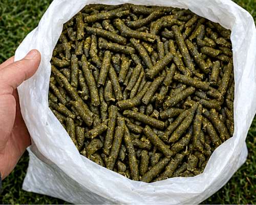 Pellet de Alfalfa en Bolsa - Lasna Insumos - MÍN 28 TN