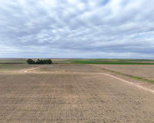 Pcia. de Cordoba - Sampacho 601 Has