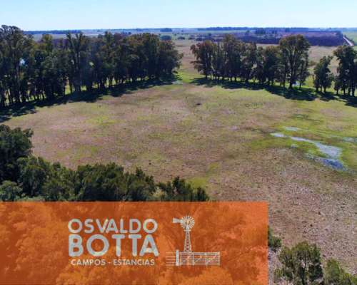 Campo en Venta 393has Mercedes, Buenos Aires