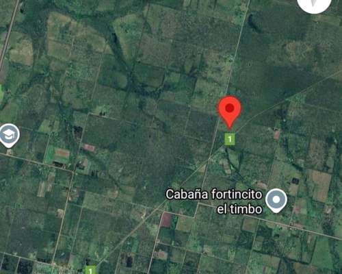 Campo Cerca de Feliciano