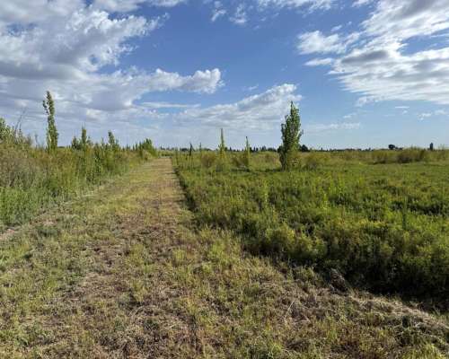 Finca 21.5 Ha en San Roque, Maipú